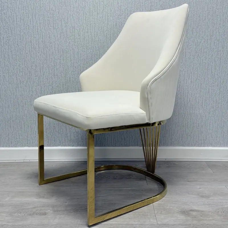 dining chairs (1)
